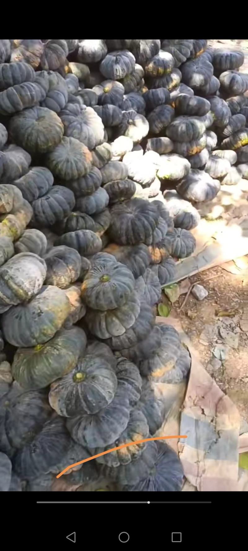 赖可丽南瓜，产地直销，货量充足，量大从优，欢迎选购