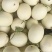 精品红金蜜大量上市欢迎老板选购，对接各大电商平台市场档口