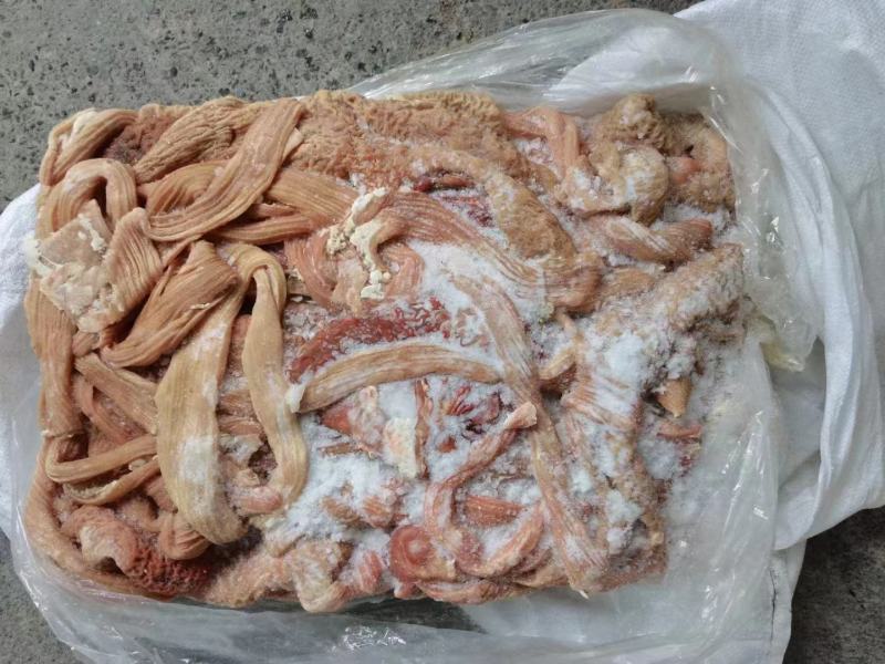 【熟牛肠】牛小肠，去油，实拍图片，一手货源，全国冷链发货