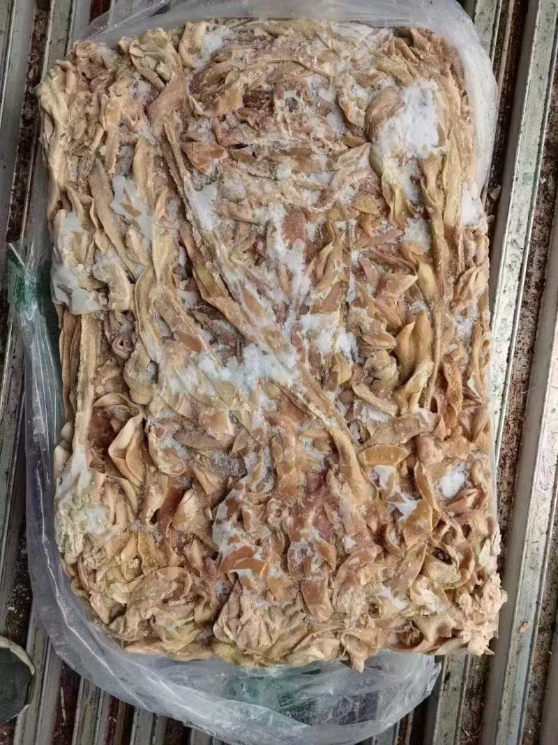 【熟牛肠】牛小肠，去油，实拍图片，一手货源，全国冷链发货