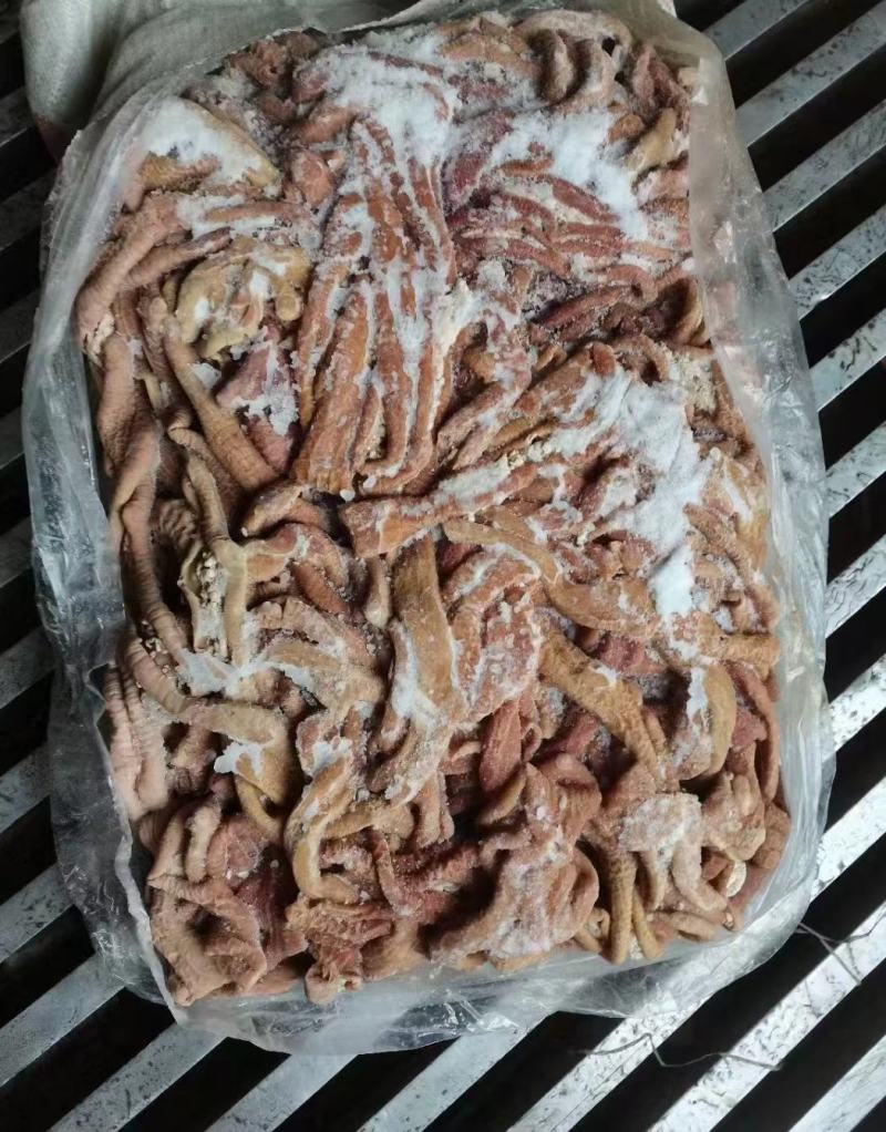 【熟牛肠】牛小肠，去油，实拍图片，一手货源，全国冷链发货