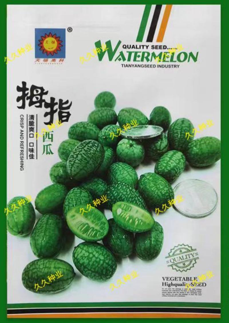 有机拇指西瓜种子高产迷你拇指西瓜种籽四季阳台盆栽水果蔬菜