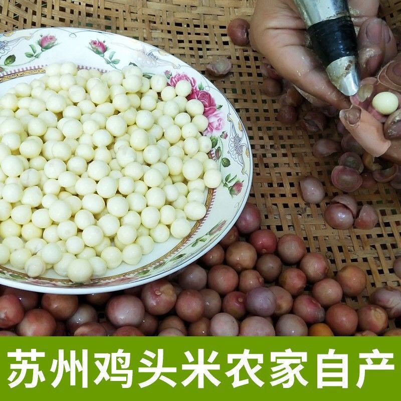 新货苏芡鸡头米500g克包邮干货白茨实仁苏州特产手工剥皮