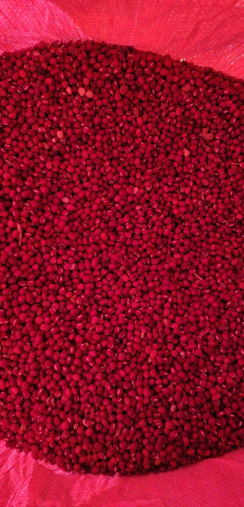 红小豆洛阳产地直供，大量供货可以视频看货