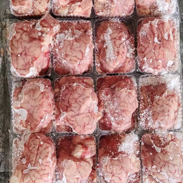 羊脑