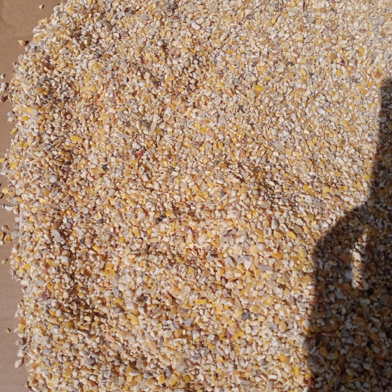 广东碎玉米，玉米碎，玉米下角料，饲料原材料，喂养，玉米