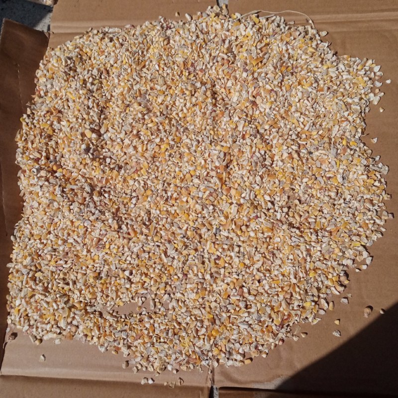 广东碎玉米，玉米碎，玉米下角料，饲料原材料，喂养，玉米