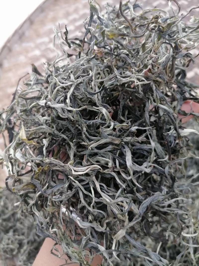 园地单珠茶，数量有限