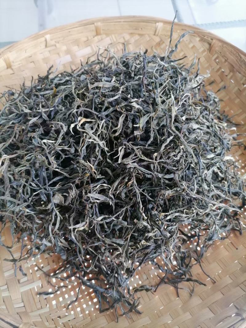 园地单珠茶，数量有限
