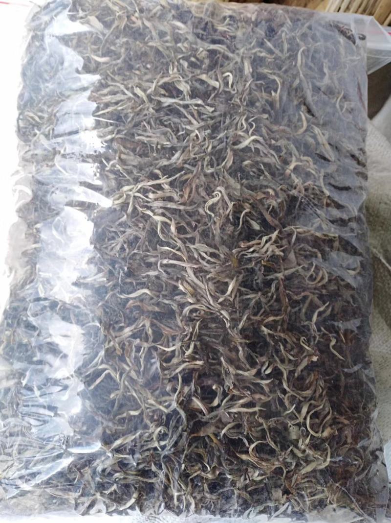 园地单珠茶，数量有限