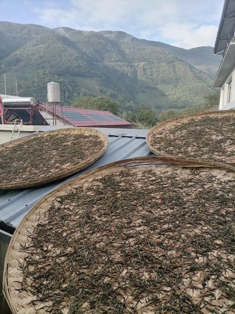 园地单珠茶，数量有限