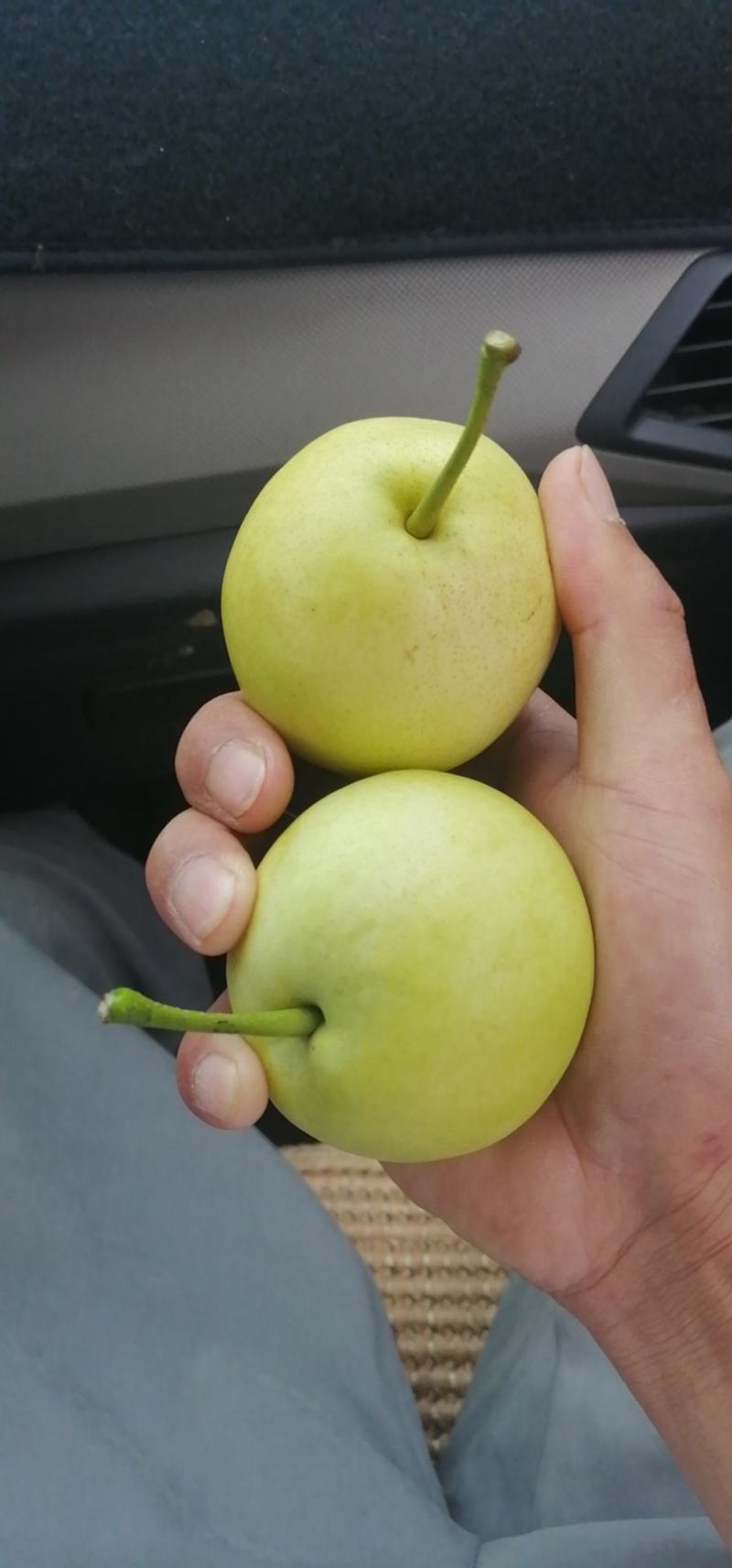 蜂糖梨。丁香梨。云南蜜梨。