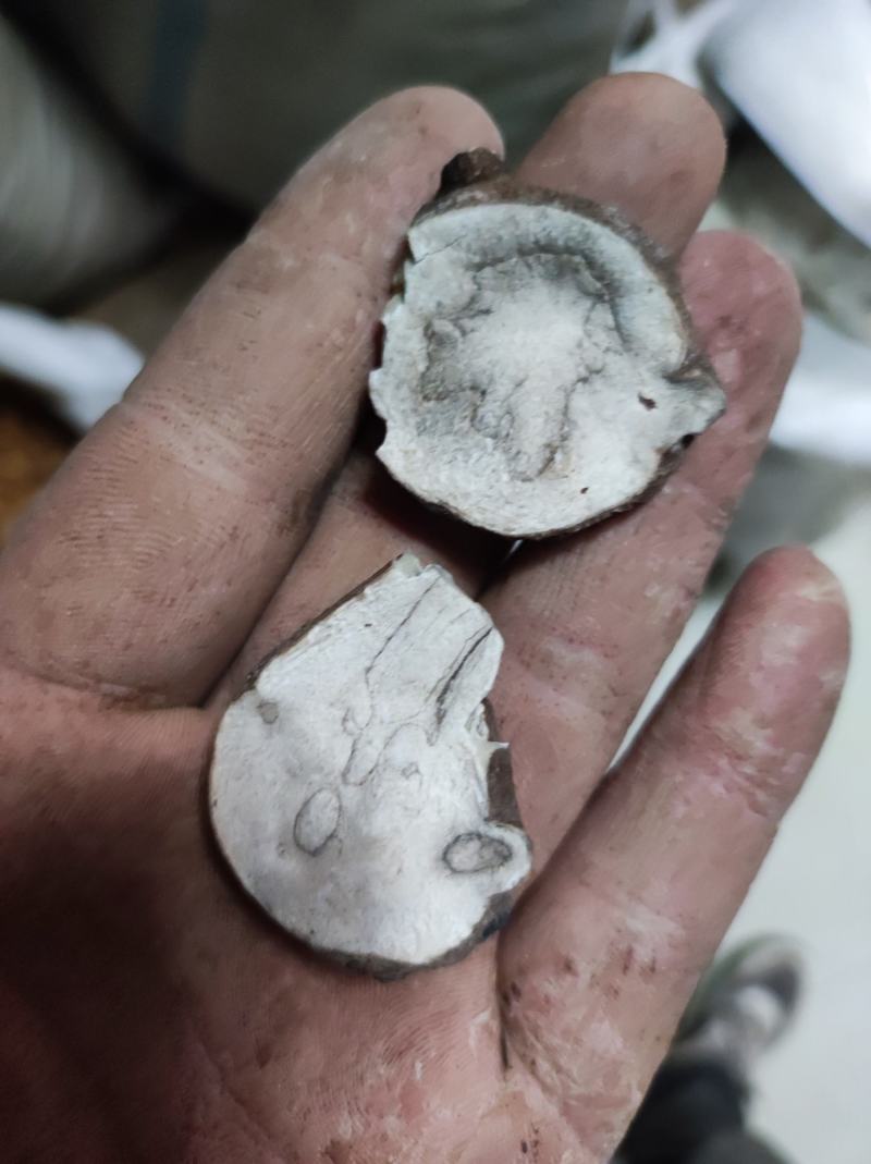 江油天雄生附图片江油特产含量高不满意可以退换货