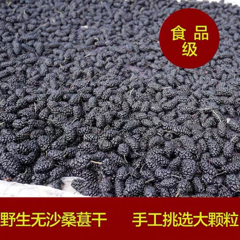 新疆黑桑葚干颗粒饱满干净无沙免费磨粉黑桑葚粉