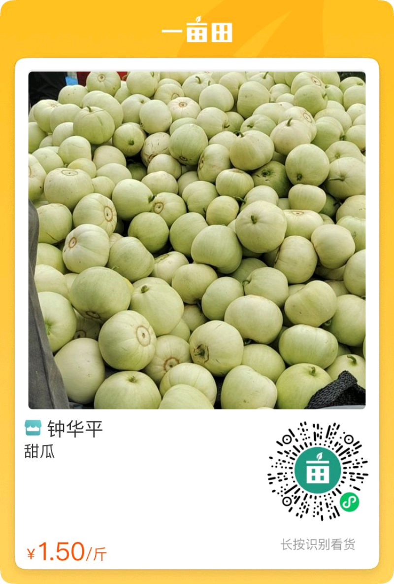 江西甜瓜