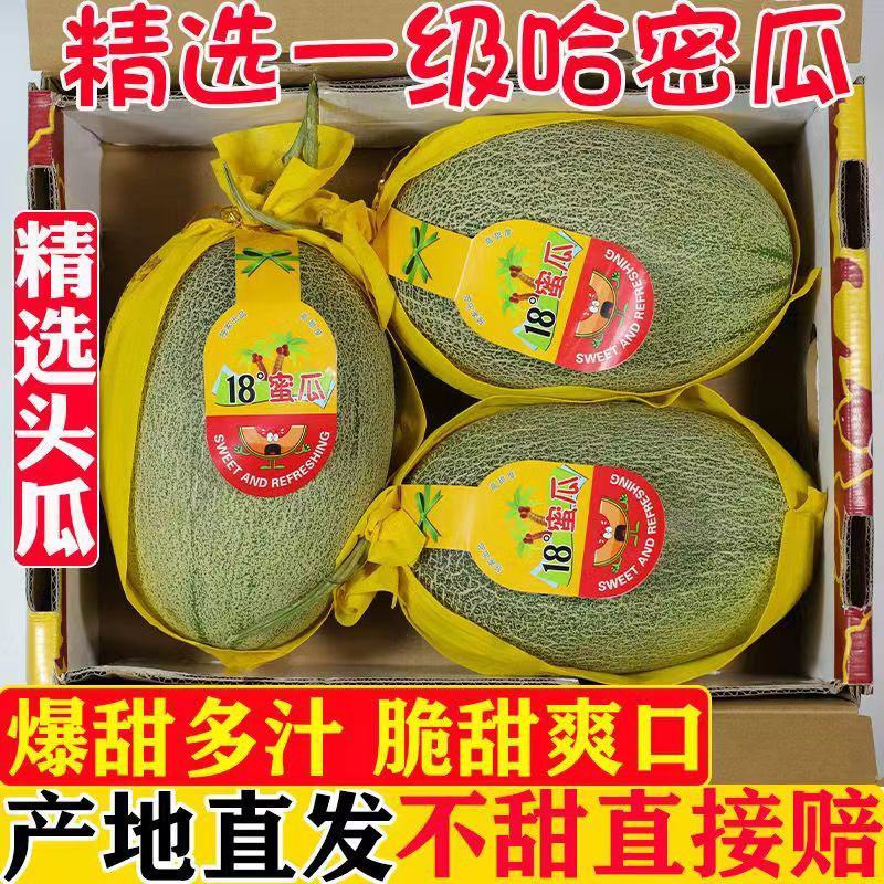 海南小蜜25红到皮甜度高纹路清晰颜色发白，沙子土产地直销