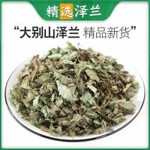 大别山泽兰现货泽兰草泽兰叶草药中药材一手货源