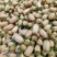 玳玳花玳玳花一公斤起批不包邮玳玳花