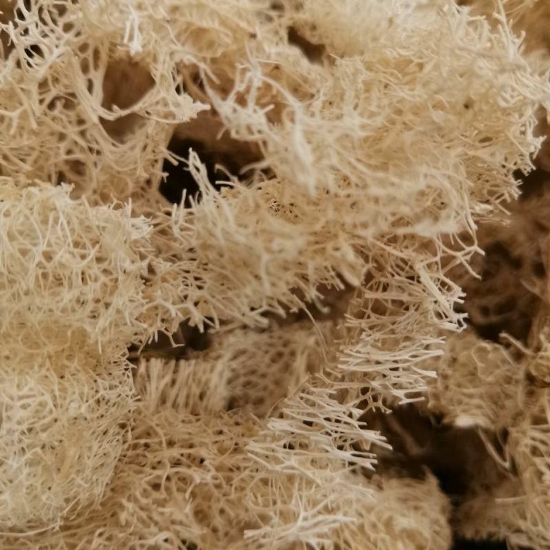 丝瓜络老丝瓜络中药材丝瓜络