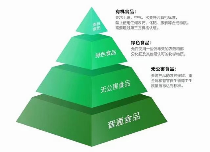 贵州遵义有机绿壳鸡蛋五黑一绿从鸡吃的水玉米虫子草全有机认