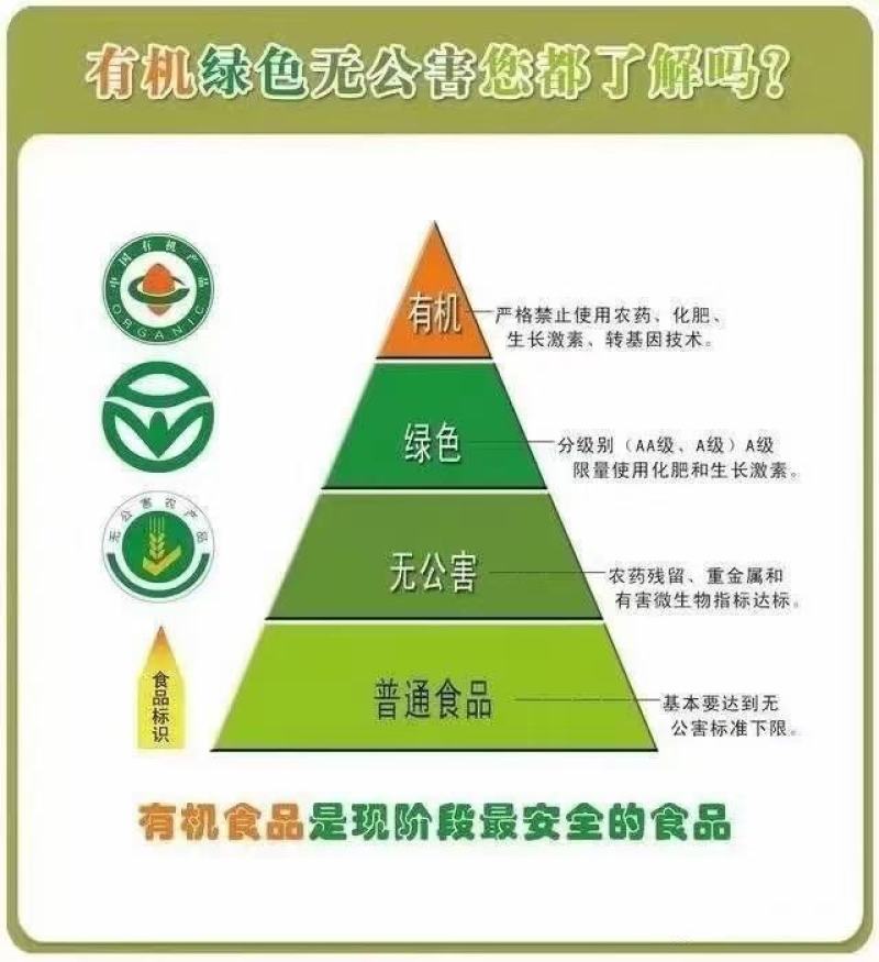 贵州遵义有机绿壳鸡蛋五黑一绿从鸡吃的水玉米虫子草全有机认