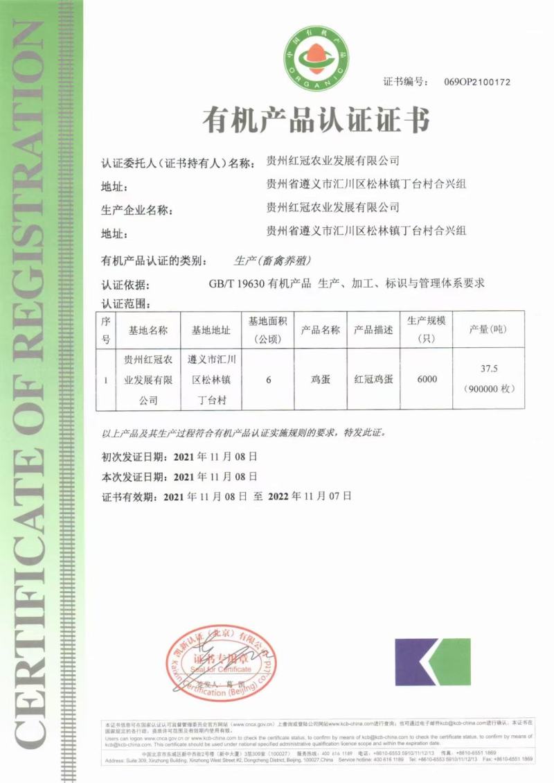 贵州遵义有机绿壳鸡蛋五黑一绿从鸡吃的水玉米虫子草全有机认