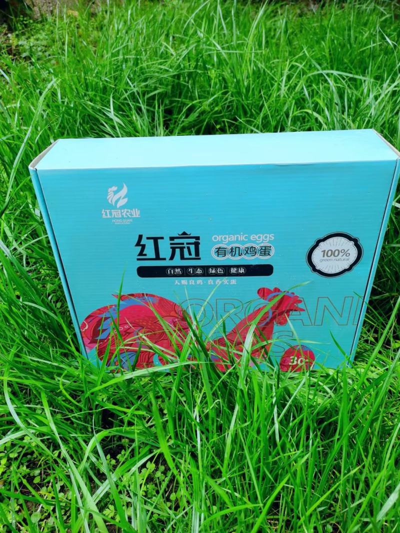 贵州遵义有机绿壳鸡蛋五黑一绿从鸡吃的水玉米虫子草全有机认