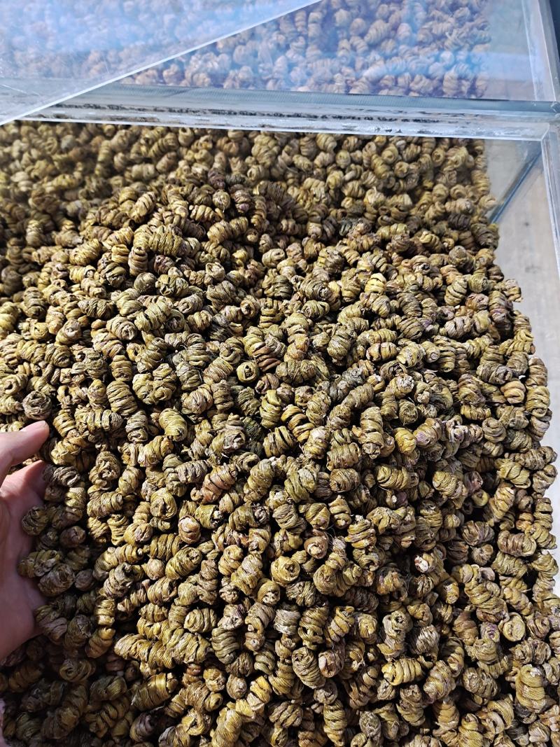 铁皮石斛石斛枫斗无硫上品货紫皮石斛铜皮石斛