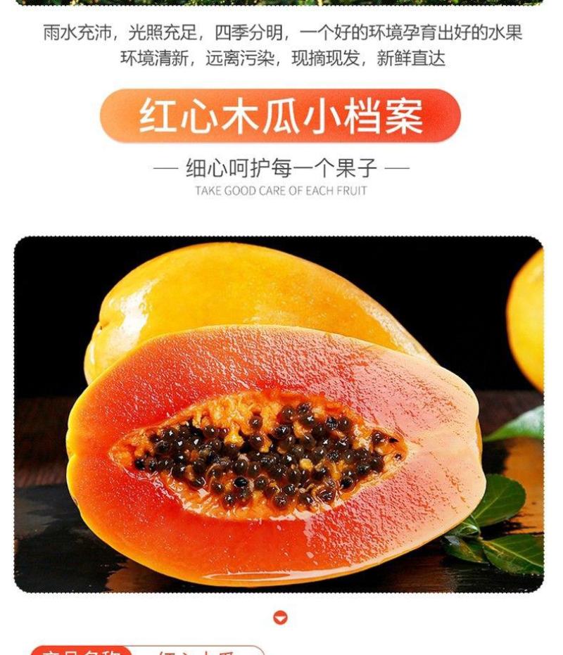 广西高山红心木瓜/一件代发/肉质细腻/肉厚丝滑满口溢汁