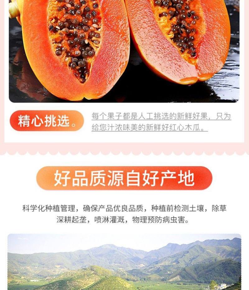 广西高山红心木瓜/一件代发/肉质细腻/肉厚丝滑满口溢汁
