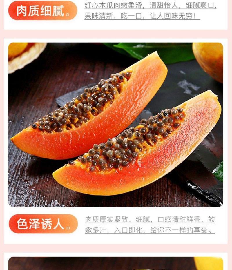 广西高山红心木瓜/一件代发/肉质细腻/肉厚丝滑满口溢汁