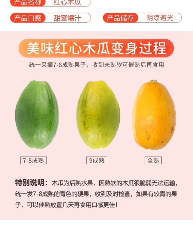 广西高山红心木瓜/一件代发/肉质细腻/肉厚丝滑满口溢汁