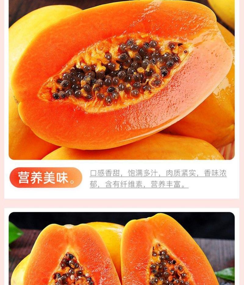 广西高山红心木瓜/一件代发/肉质细腻/肉厚丝滑满口溢汁