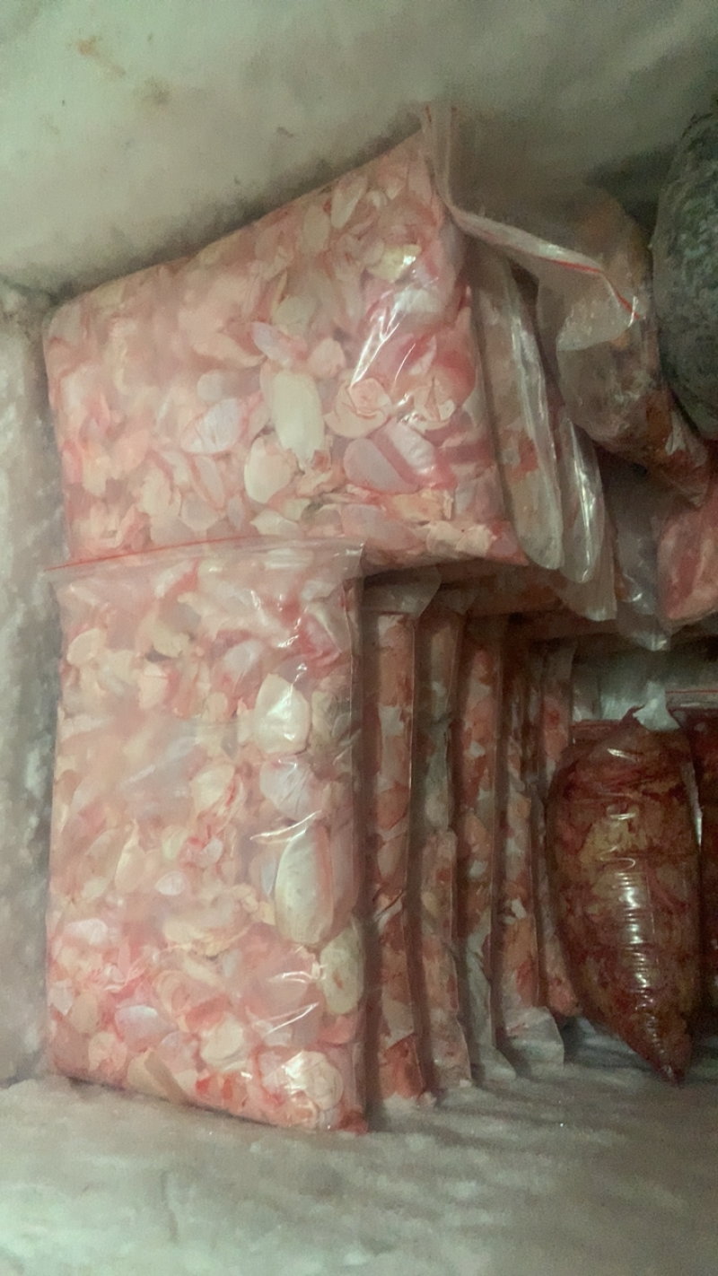 新鲜鲤鱼籽鱼泡，一手货