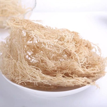 龙须菜又名石花菜，8.5成干欢迎各位老板