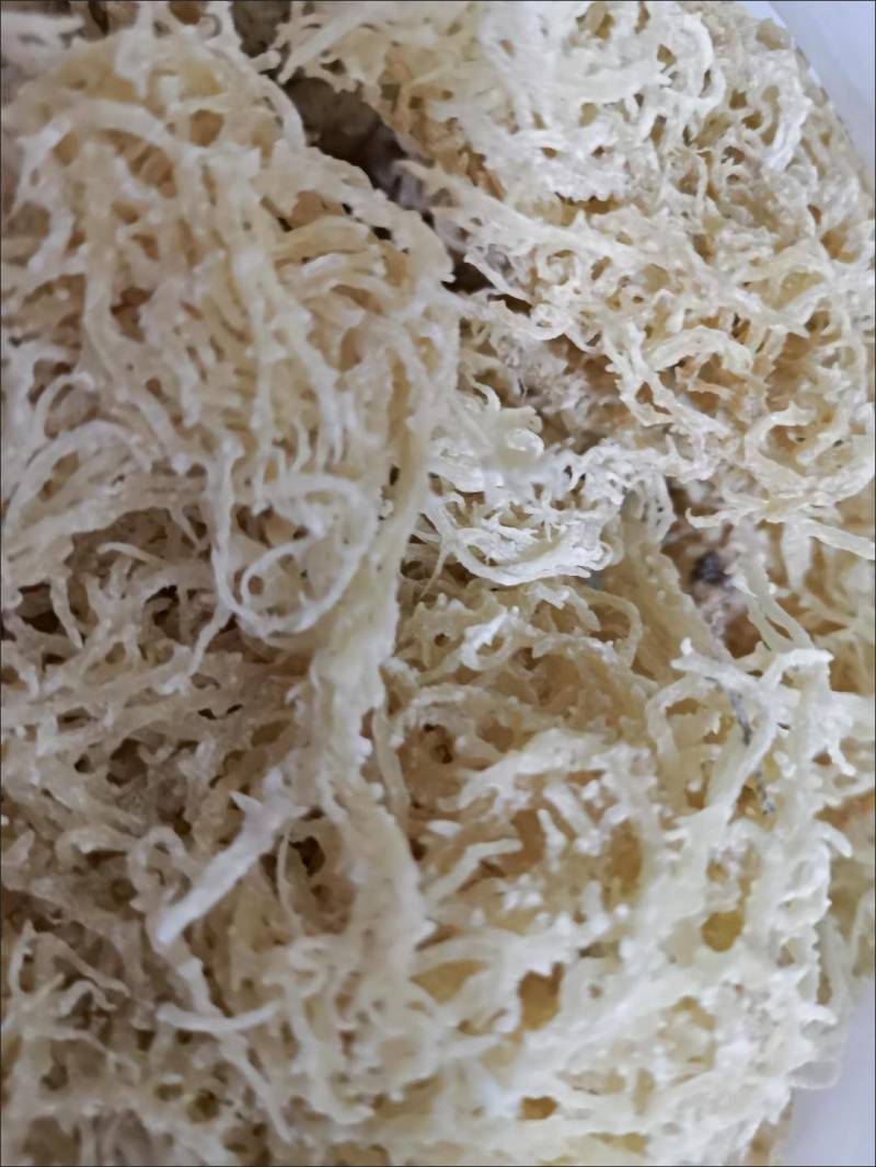 龙须菜又名石花菜，8.5成干欢迎各位老板
