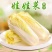 四季金娃娃菜种子蔬菜种子生长快品质佳菜籽春夏秋四季播种