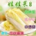 四季金娃娃菜种子蔬菜种子生长快品质佳菜籽春夏秋四季播种