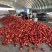 山东冠县大棚黄肉油桃中油4号供应超市市场团购电商代发