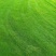 绿化草坪