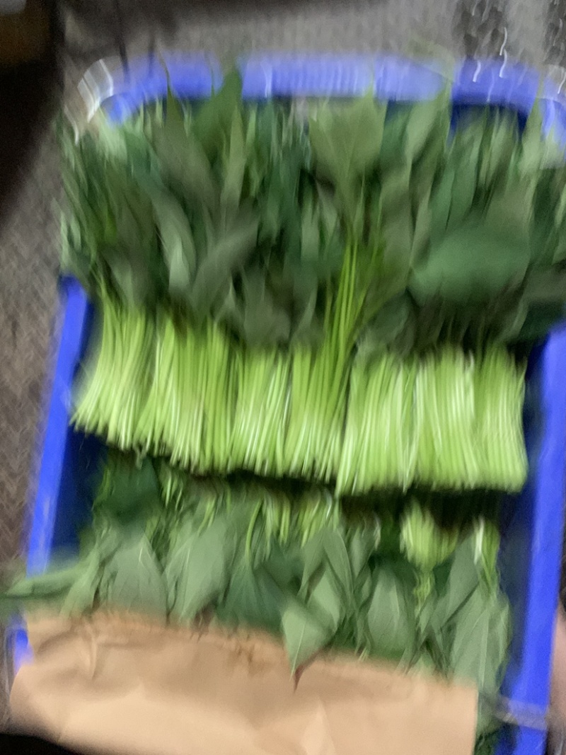 专业配送各大电商，欢迎致电，合作共赢！