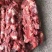满肉牛脖骨