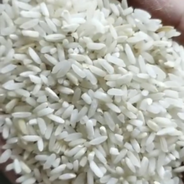 色选米