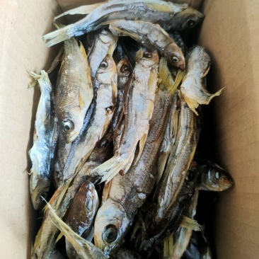 马口鱼干，风干马口！去脏保证质量没有库存下单在做