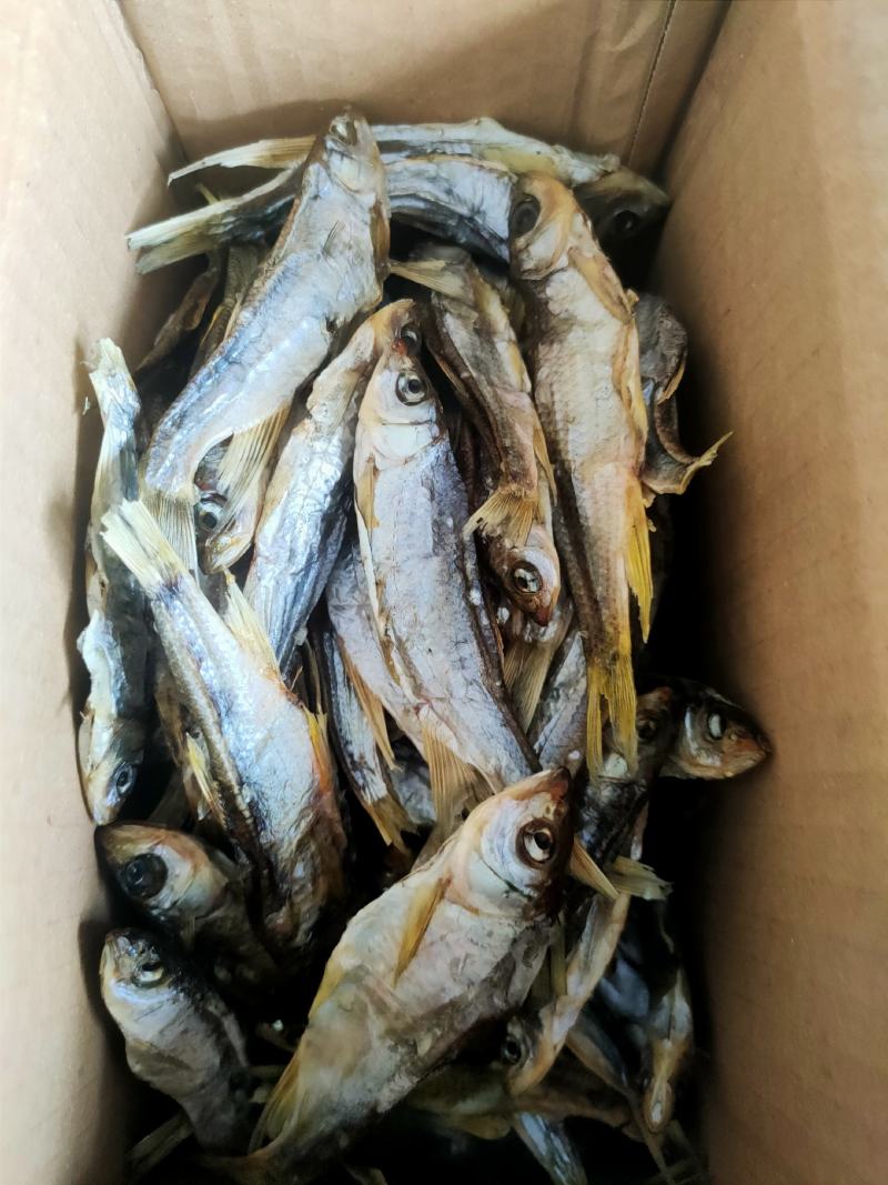 马口鱼干，风干马口！去脏保证质量没有库存下单在做