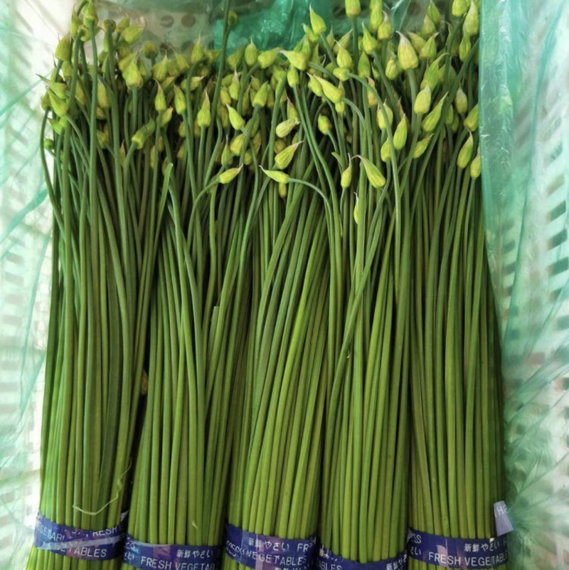 寿光精品韭苔