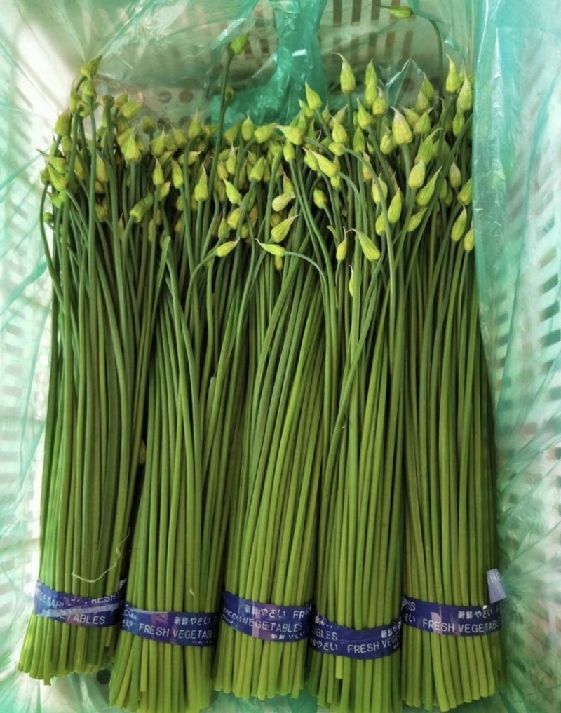 寿光精品韭苔