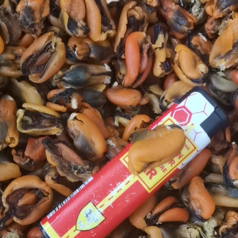 淡菜干海虹干海虹各种规格大量批发新货加工