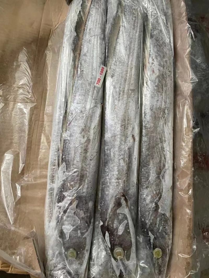 帶魚大量批發