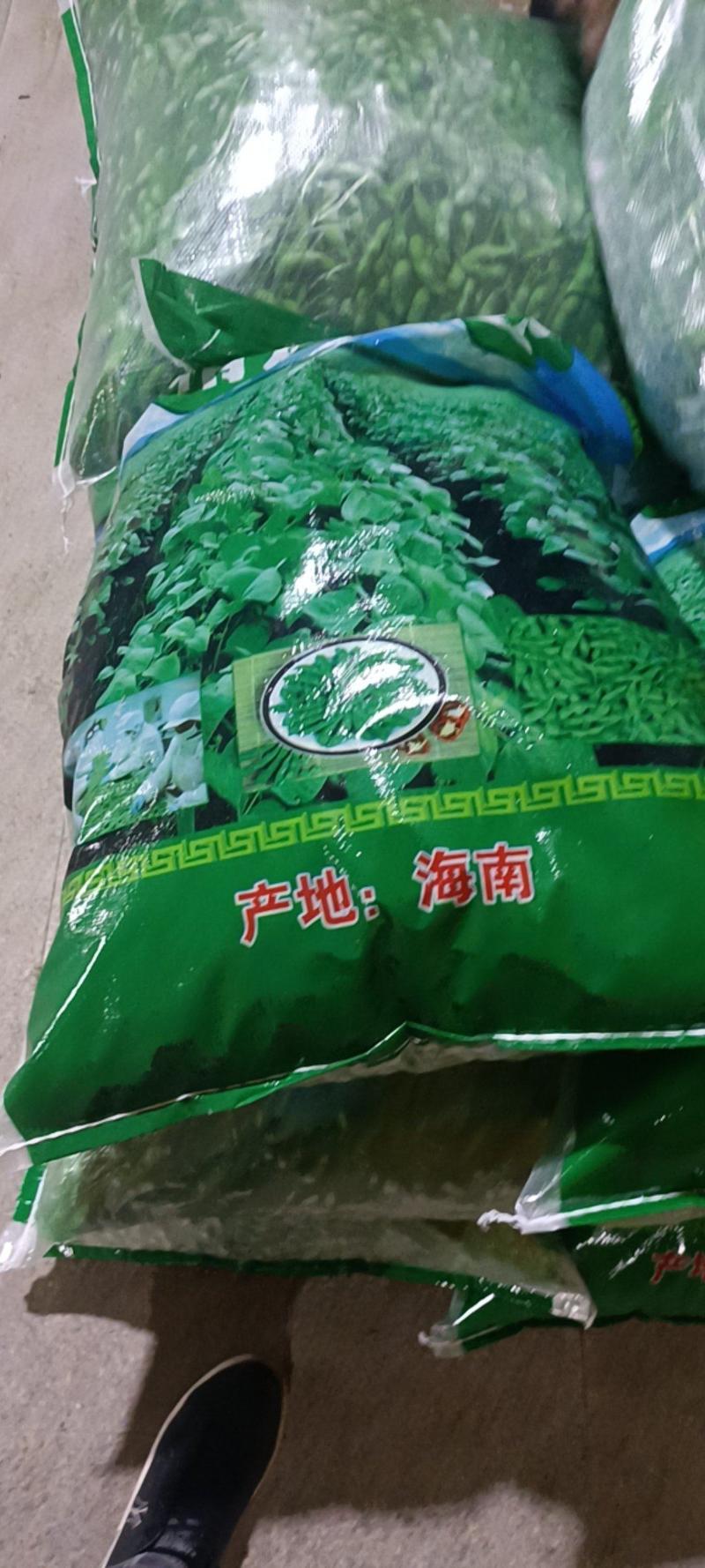优质福建漳州毛豆上海青-64毛豆饱满度好实力代办一手货